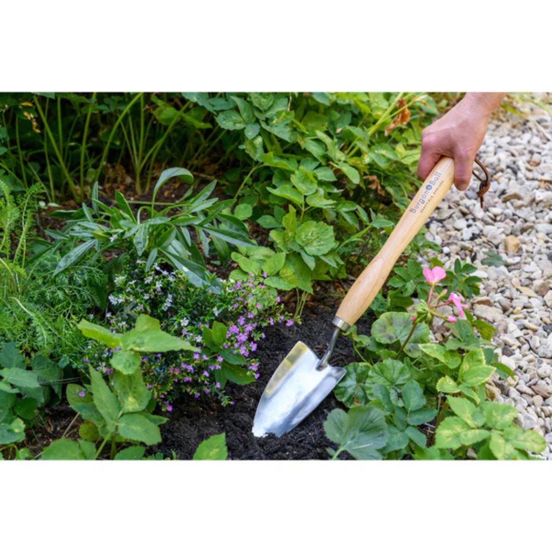 Mid Handled Trowel – Burgon & Ball – 13″